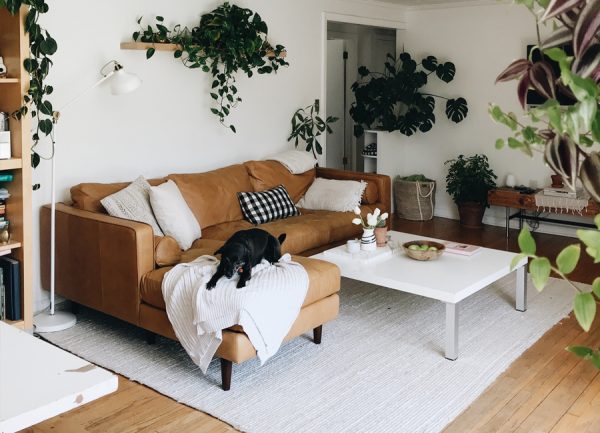 The Sven Charme Tan Sectional in situ in the BevCooks' home.