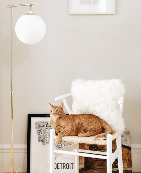 Aesthetic supervisor watching over Sarah's progress in the beam of the Pendula floor lamp.