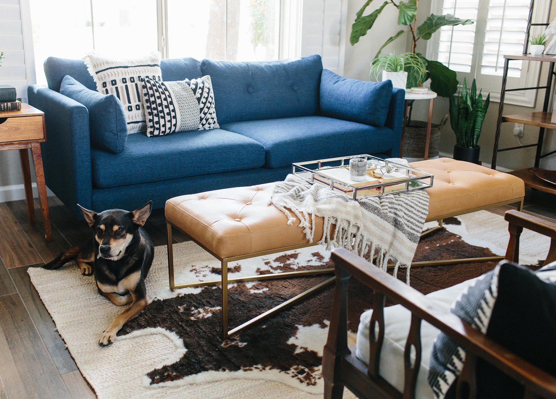 Dog lays next to an Article Tablet Charme blonde leather ottoman
