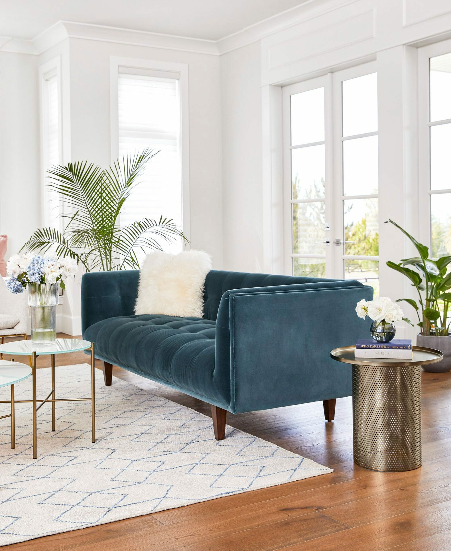 A blue velvet sofa sits in the middle of a white room with big windows. A palm sits in the background.