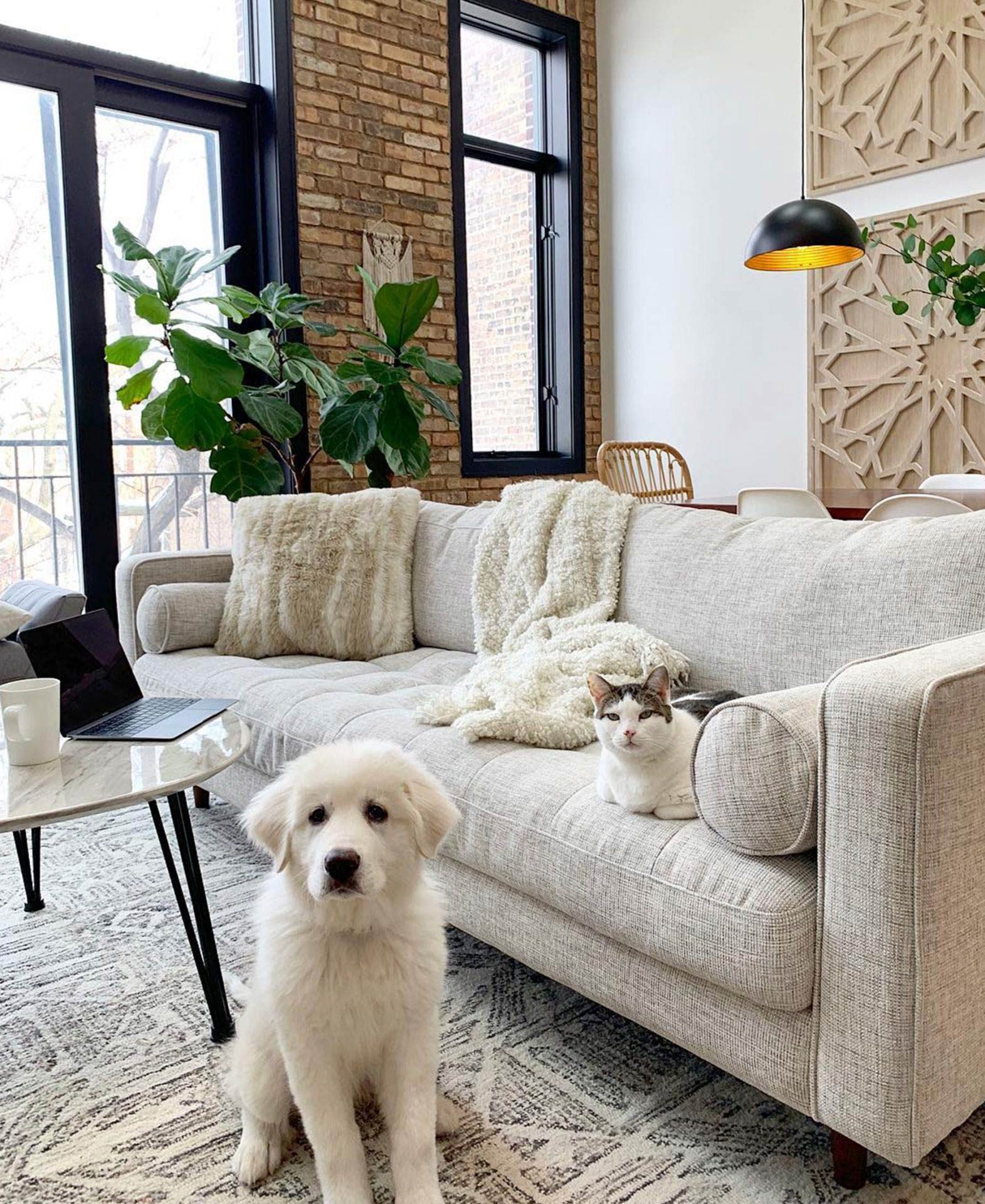 Michelle Sturgis' puppy and cat look innocent next to the Article Sven sofa in Birch Ivory