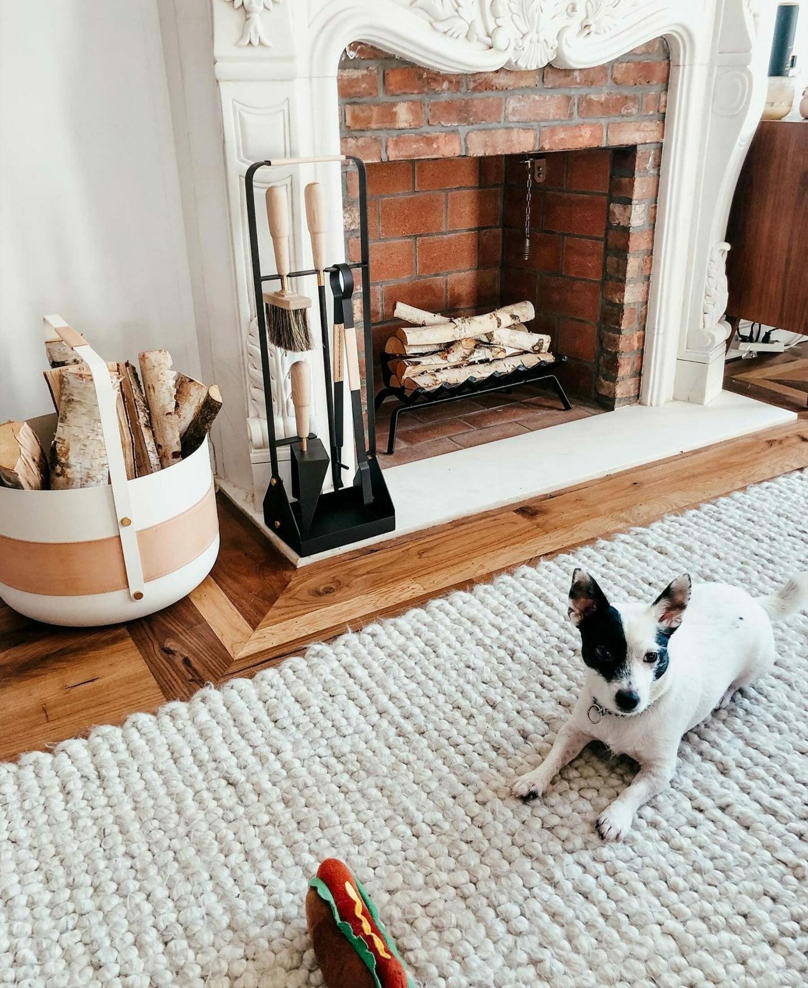 The Hira Rug is shown with a small dog